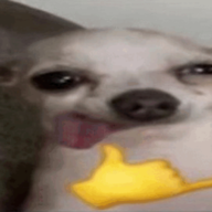 𝕟𝕚𝕜𝕣𝕖𝕧𝕒_