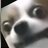 Rudolfiy_ST
