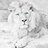 Alexe_23